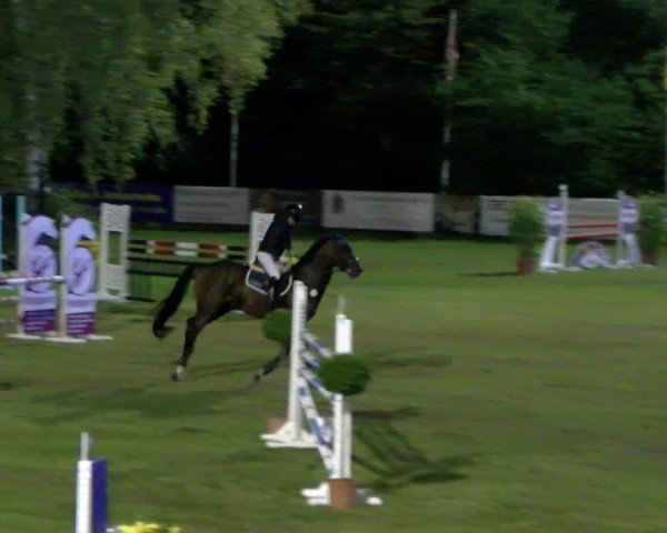 Reitturnier Scharnebeck 2024
