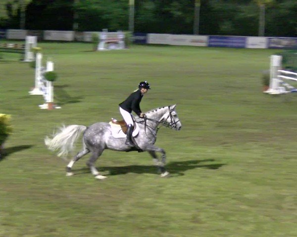 Reitturnier Scharnebeck 2024