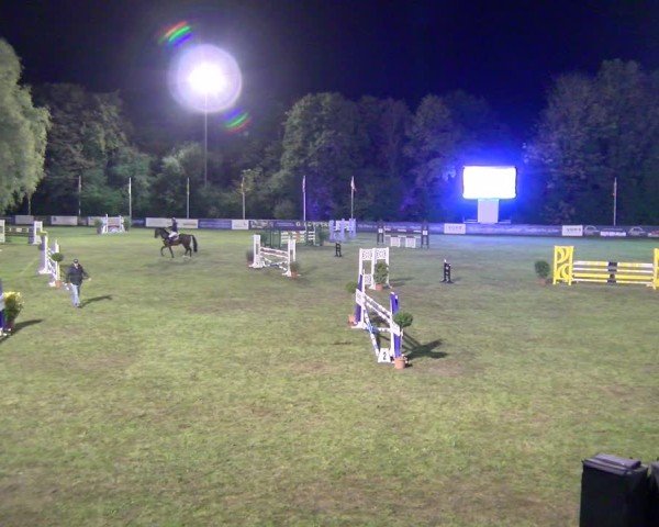 Reitturnier Scharnebeck 2024