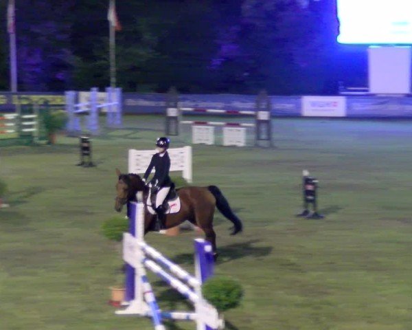 Reitturnier Scharnebeck 2024