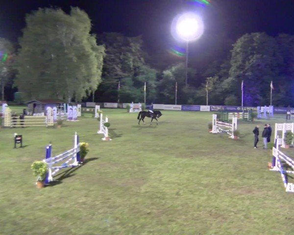 Reitturnier Scharnebeck 2024