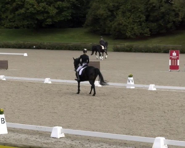 Reitturnier Tübingen 2024