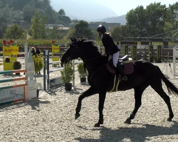 Reitturnier Felsberg 2021