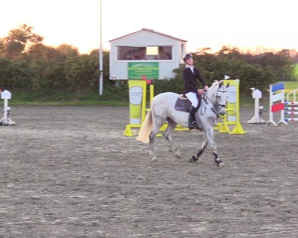 Reitturnier Risum-Lindholm 2024