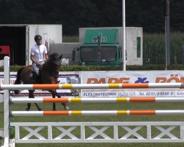 Reitturnier Münster-Handorf 2013