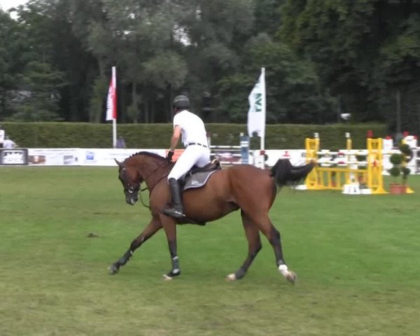 Reitturnier Münster-Handorf 2013