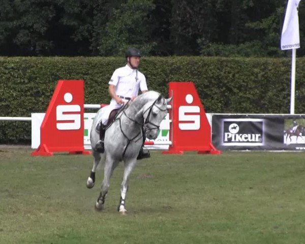 Reitturnier Münster-Handorf 2013