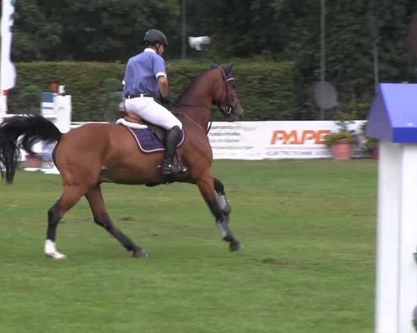 Westfalen-Woche 2013