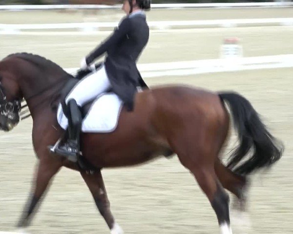 Reitturnier St. Margarethen 2024
