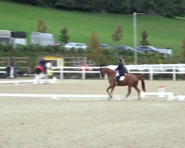 Reitturnier St. Margarethen 2024