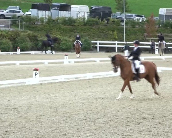 Reitturnier St. Margarethen 2024