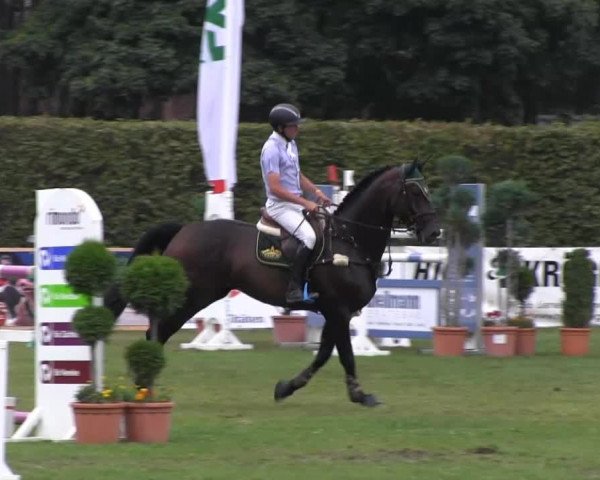 Reitturnier Münster-Handorf 2013