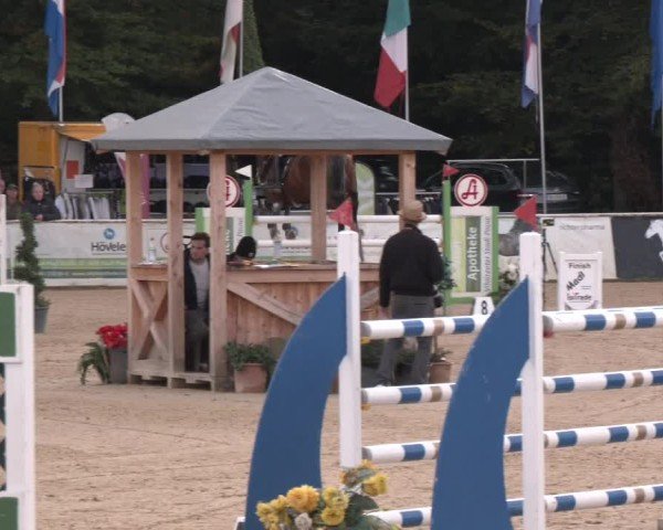 Reitturnier Ranshofen - Braunau am Inn 2024