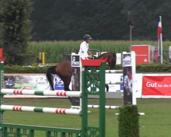 Reitturnier Münster-Handorf 2013