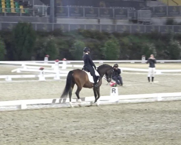 Reitturnier St. Margarethen 2024