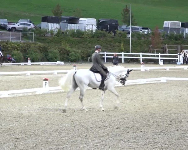 Reitturnier St. Margarethen 2024