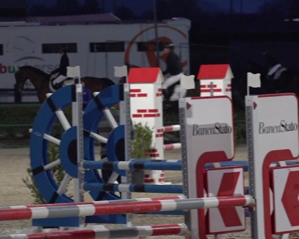 Reitturnier Giubiasco 2024