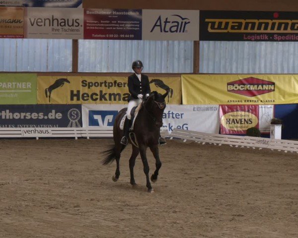 Reitturnier Isterberg 2024