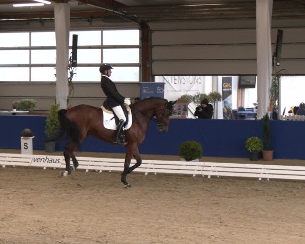 Reitturnier Isterberg 2024