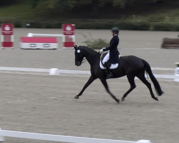 Reitturnier Tübingen 2024