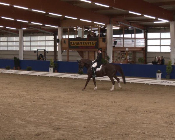 Reitturnier Isterberg 2024