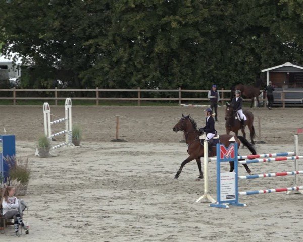 Reitturnier Scharnebeck 2024