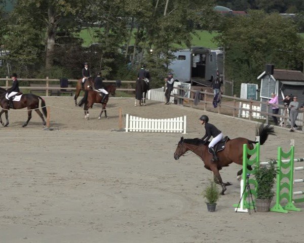 Reitturnier Scharnebeck 2024