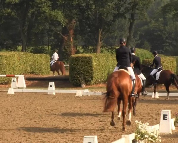 Westfalen-Woche 2013