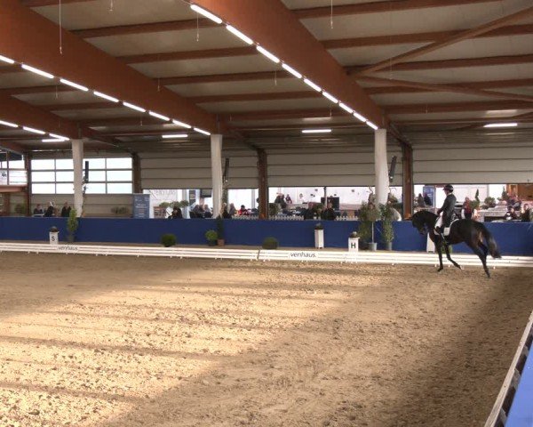 Reitturnier Isterberg 2024