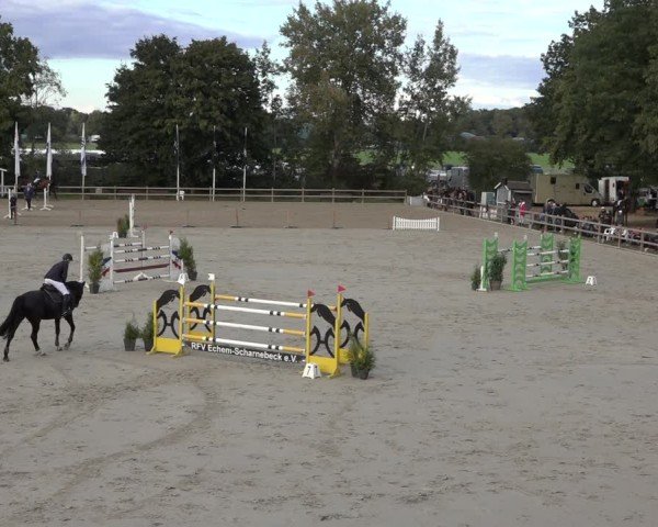 Reitturnier Scharnebeck 2024