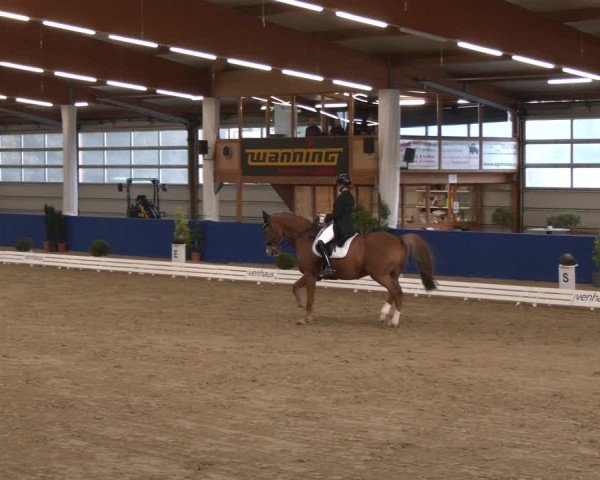 Reitturnier Isterberg 2024