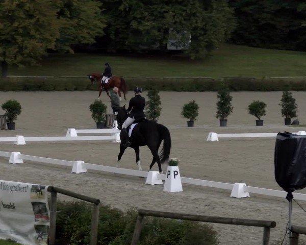 Reitturnier Tübingen 2024
