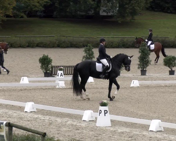 Reitturnier Tübingen 2024