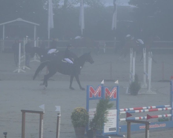 Reitturnier Scharnebeck 2024