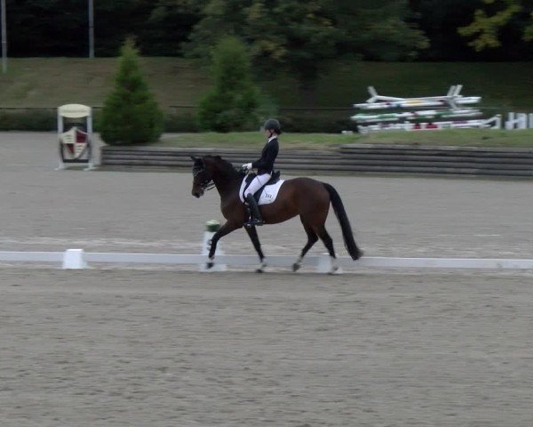 Reitturnier Tübingen 2024