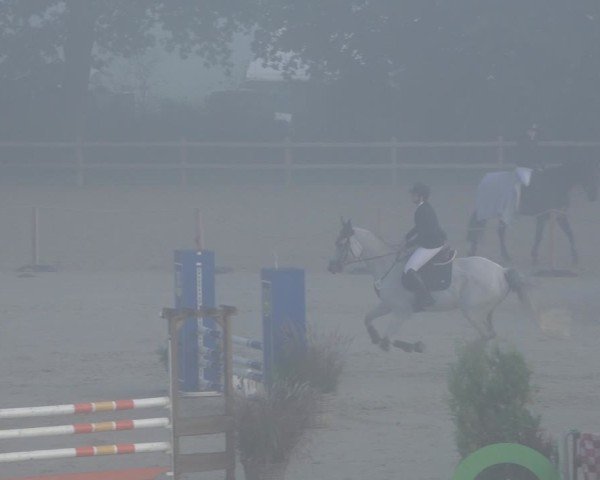 Reitturnier Scharnebeck 2024