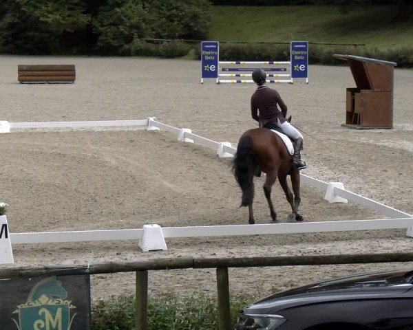 Reitturnier Tübingen 2024