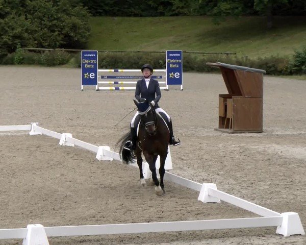 Reitturnier Tübingen 2024