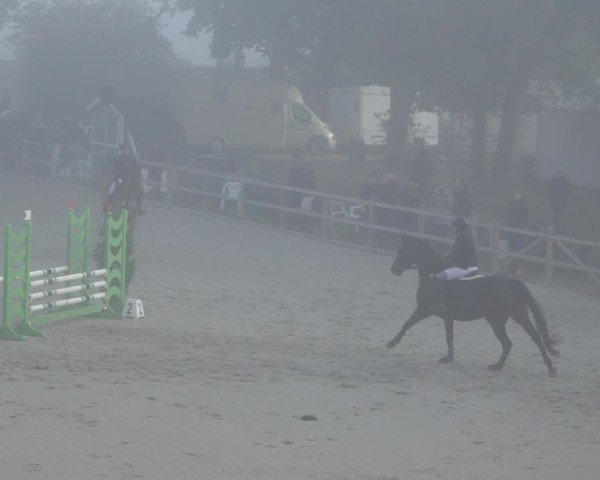 Reitturnier Scharnebeck 2024
