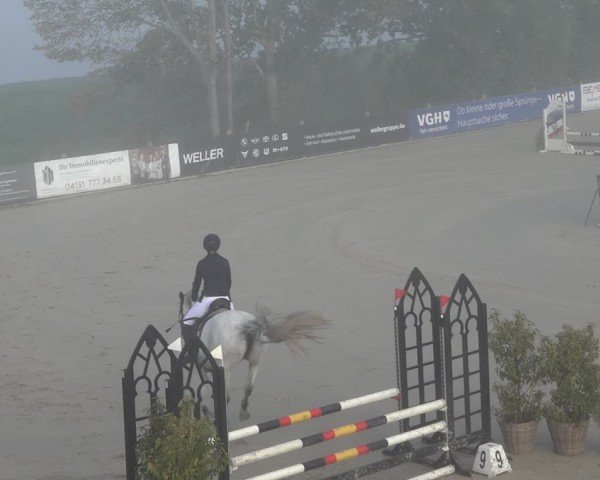 Reitturnier Scharnebeck 2024