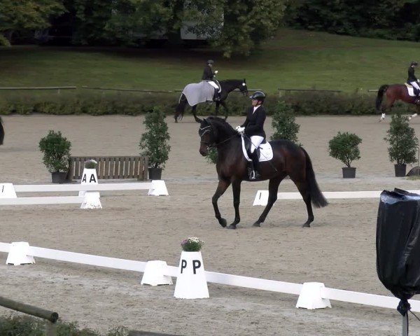Reitturnier Tübingen 2024