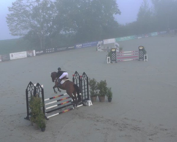 Reitturnier Scharnebeck 2024