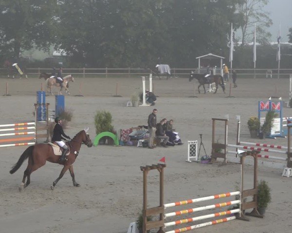Reitturnier Scharnebeck 2024