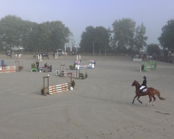 Reitturnier Scharnebeck 2024