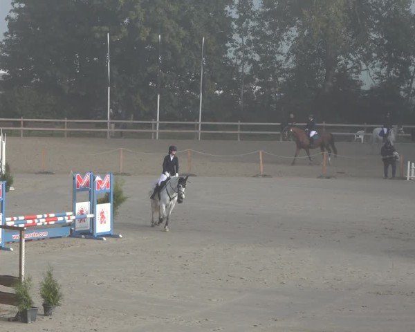 Reitturnier Scharnebeck 2024