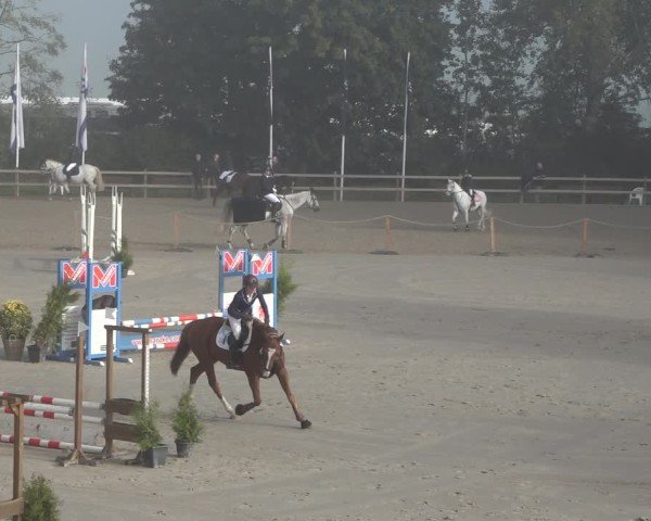 Reitturnier Scharnebeck 2024