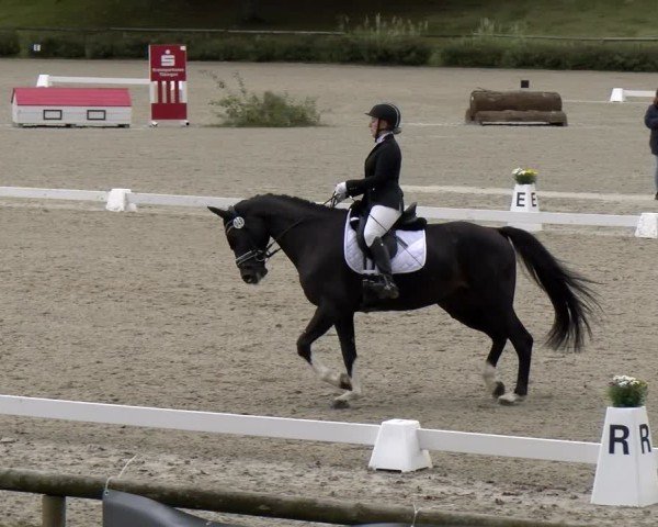 Reitturnier Tübingen 2024