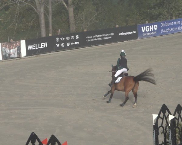 Reitturnier Scharnebeck 2024