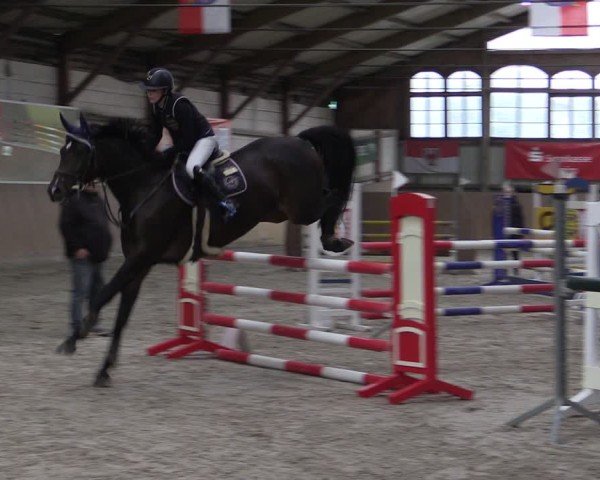 Reitturnier Elisenau 2024