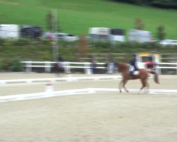 Reitturnier St. Margarethen 2024